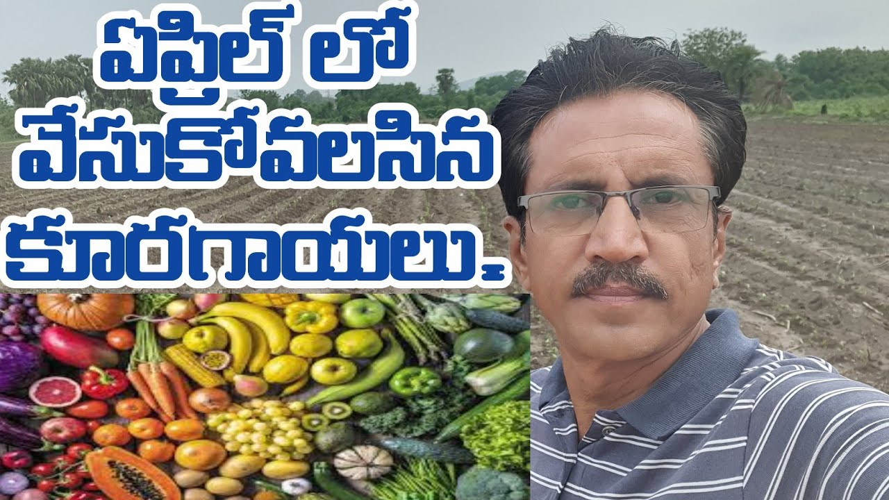 Vegitables In April || Summer Vegitables Crops || కూరగాయల సాగు