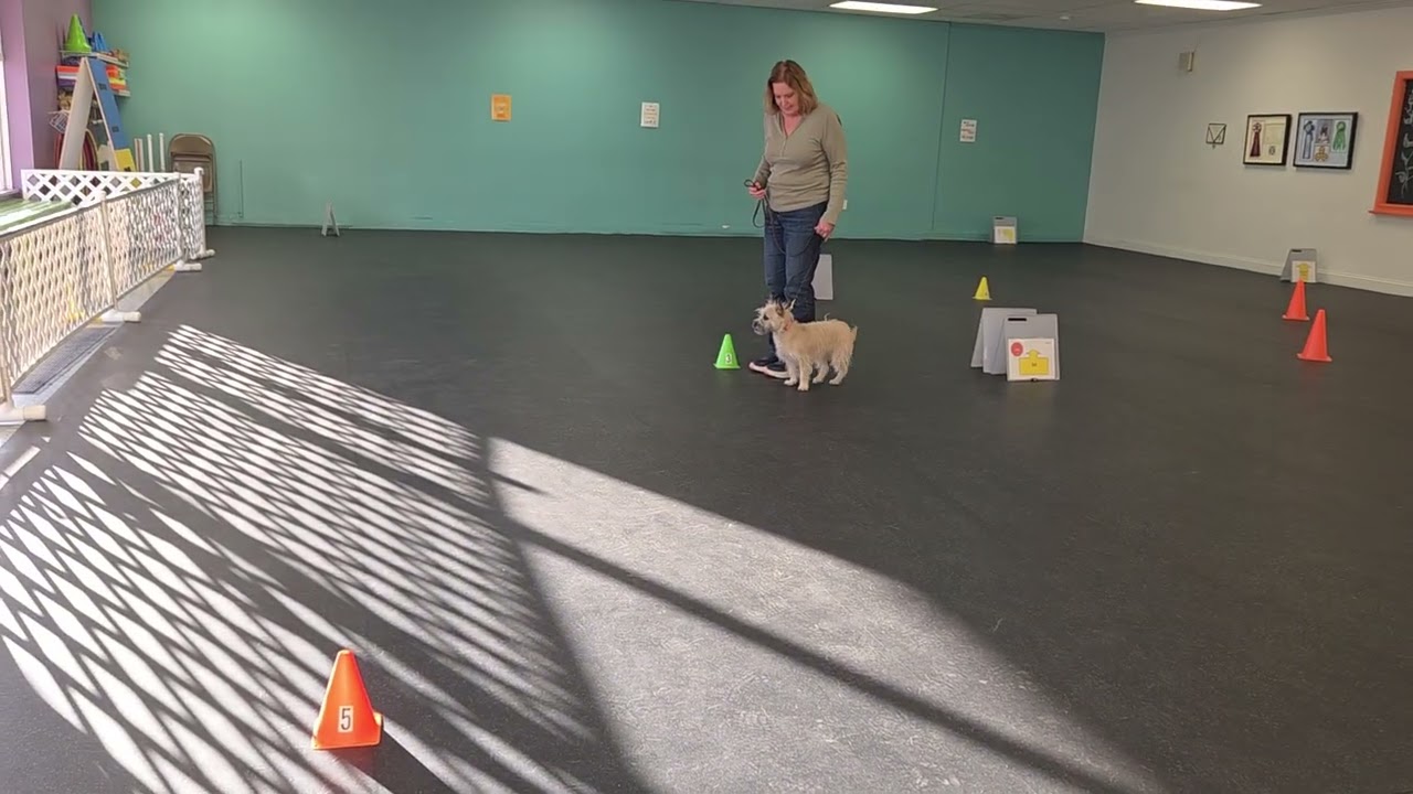 Cathy and Ivy 3/17 VBN-3