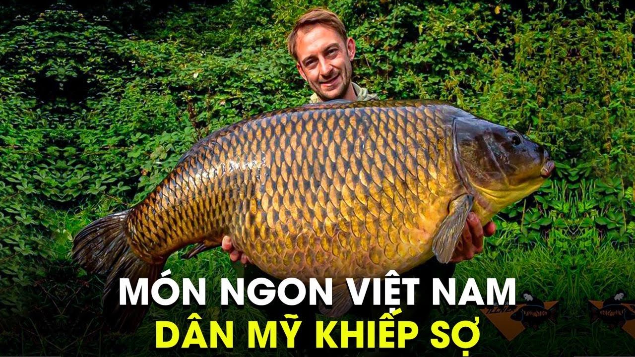 Loài Cá Thơm Ngon Của Việt Nam Nhưng Khiến Nước Mỹ Hoảng Sợ,  Mất Ăn Mất Ngủ, Thiệt Hại Cả Tỷ Đô