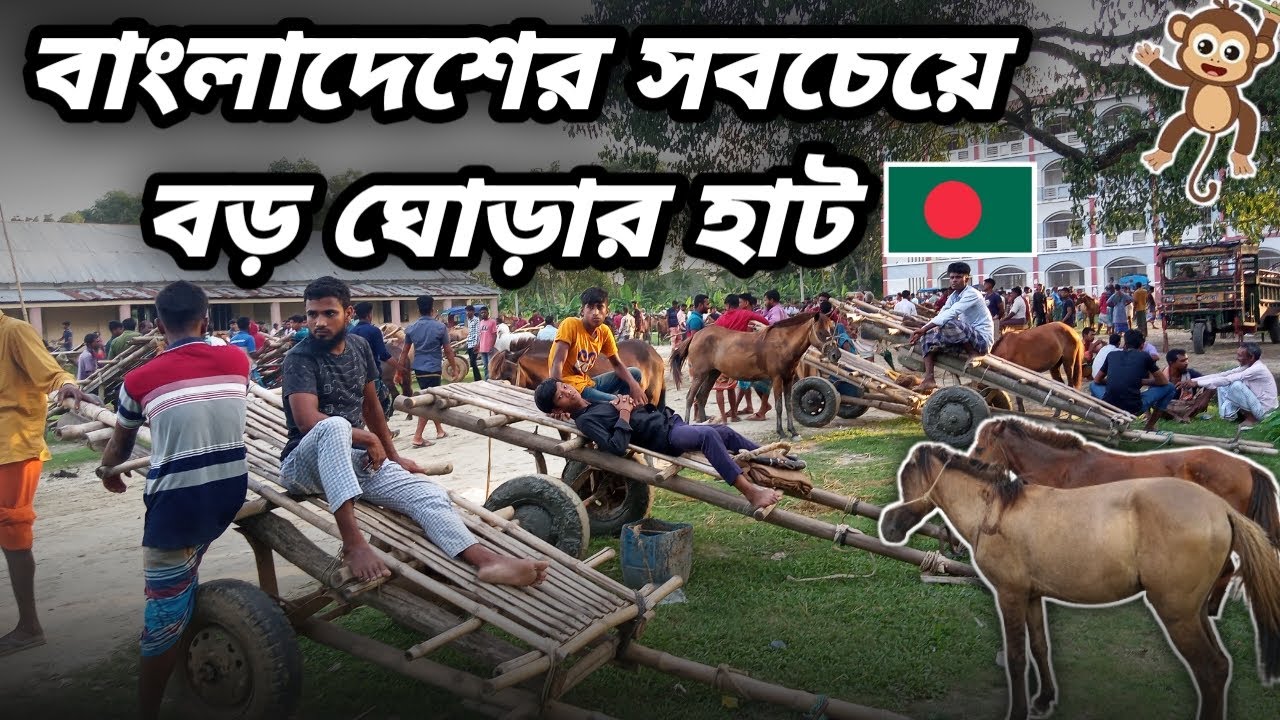 ১ হাজার টাকায় ঘোড়া বিক্রি হয় এই হাটে। Horse market in Bangladesh 🇧🇩 #ঘোড়া #horse #হাট_বাজার