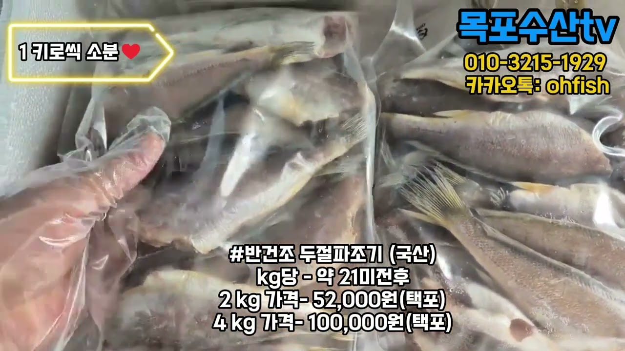 가성비갑 목포 참조기 두절반건조 파조기 입니다 #참조기 #목포참조기 #파조기 #두절파조기 #반건조 #반건조생선 #반건조조기