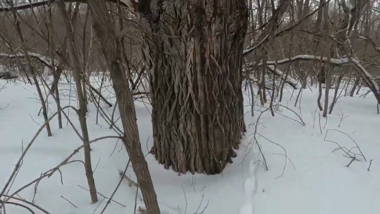 В гостях у сказки.😊