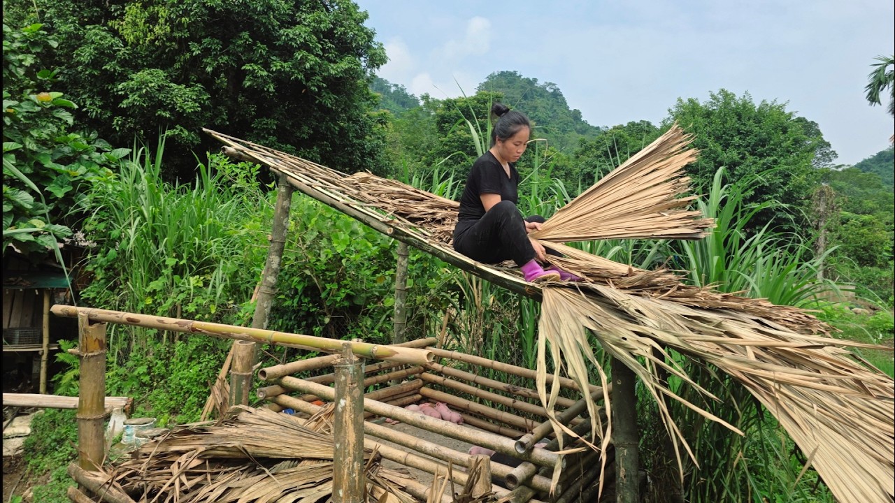 Single Mom &ndash; Renovating the Pigpen and Caring for Weak Piglets | Ly tieu tieu