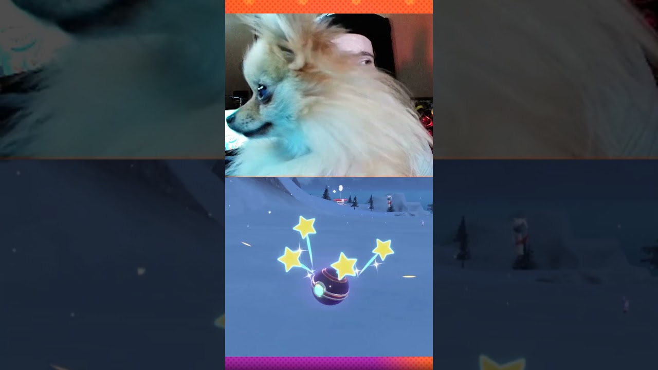 Shiny Greavard In Pok&eacute;mon Scarlet and Violet