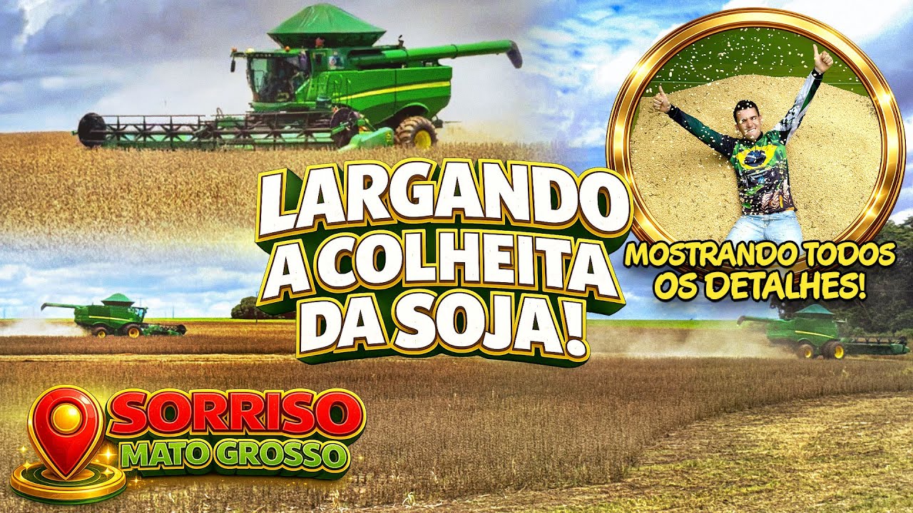 Realidade da colheita  no Mato Grosso… todos os pontos positivos e negativos! 👍