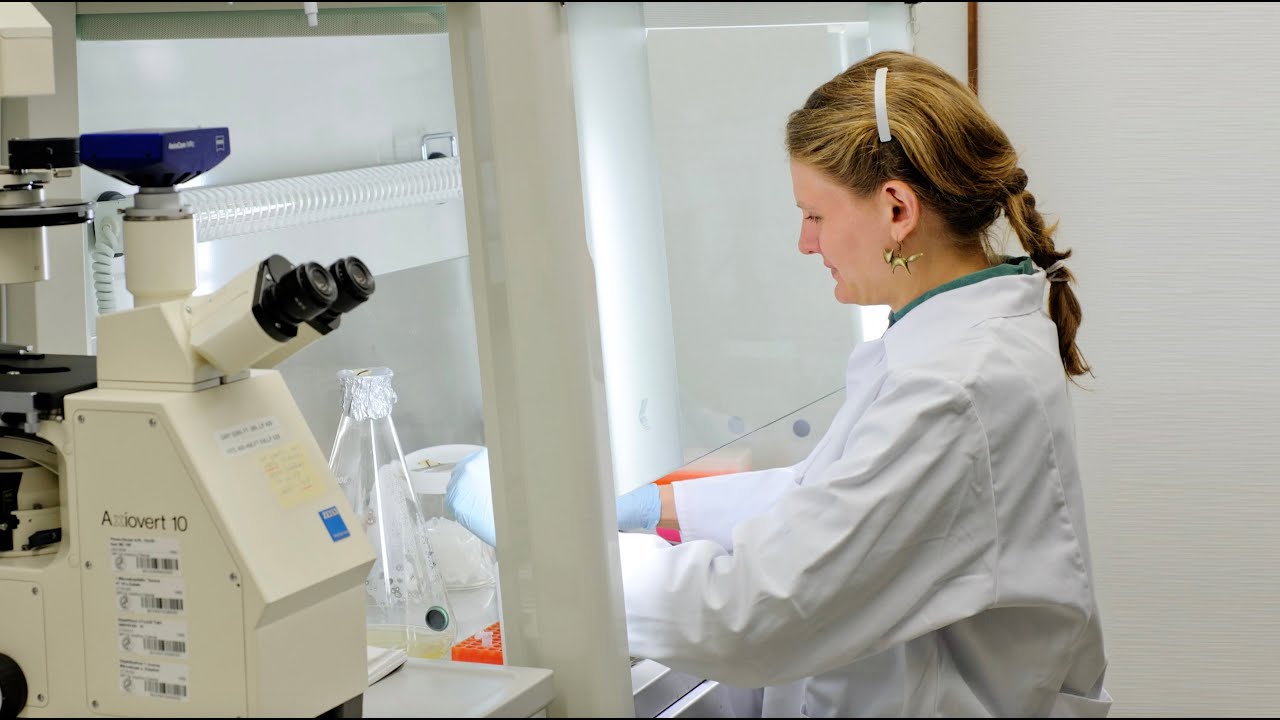 Meet the MIT Bio Faculty: Seychelle Vos