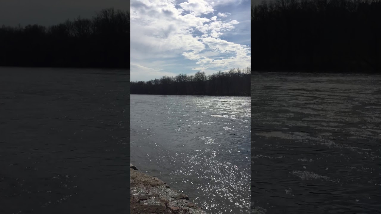 Silly Song for the Delaware River