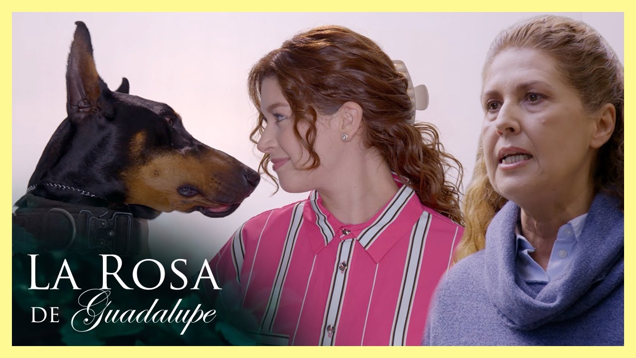 Paula es feliz con su dóberman pero su familia lo rechaza | La rosa de Guadalupe 2/4 | Todos...