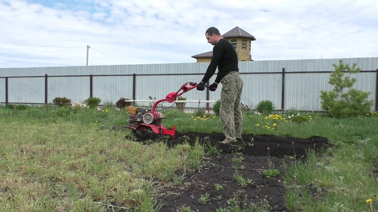 МОТОБЛОК САЛЮТ 100  ФРЕЗЕРУЕМ ПОЧВУ .