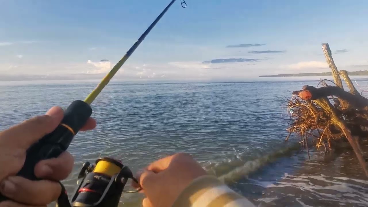 (DIY)EP11 RATTLER SABIKI,wala ng intro intro,grabi mga talakitok dito!! @kylebrookesfishingtv7824