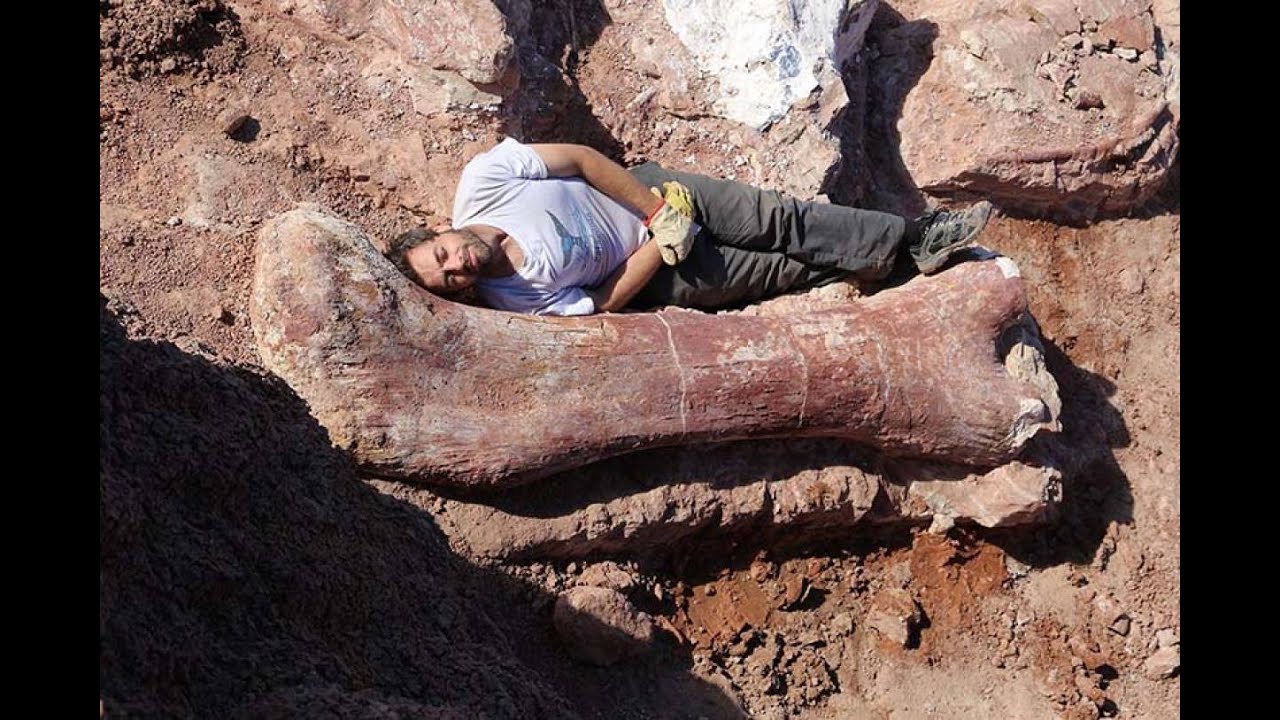 Clase magistral de Diego Pol: La Paleontología argentina