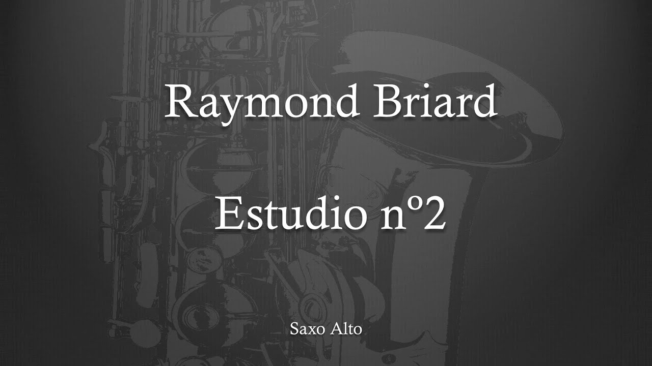 191018 Briard Estudio 2