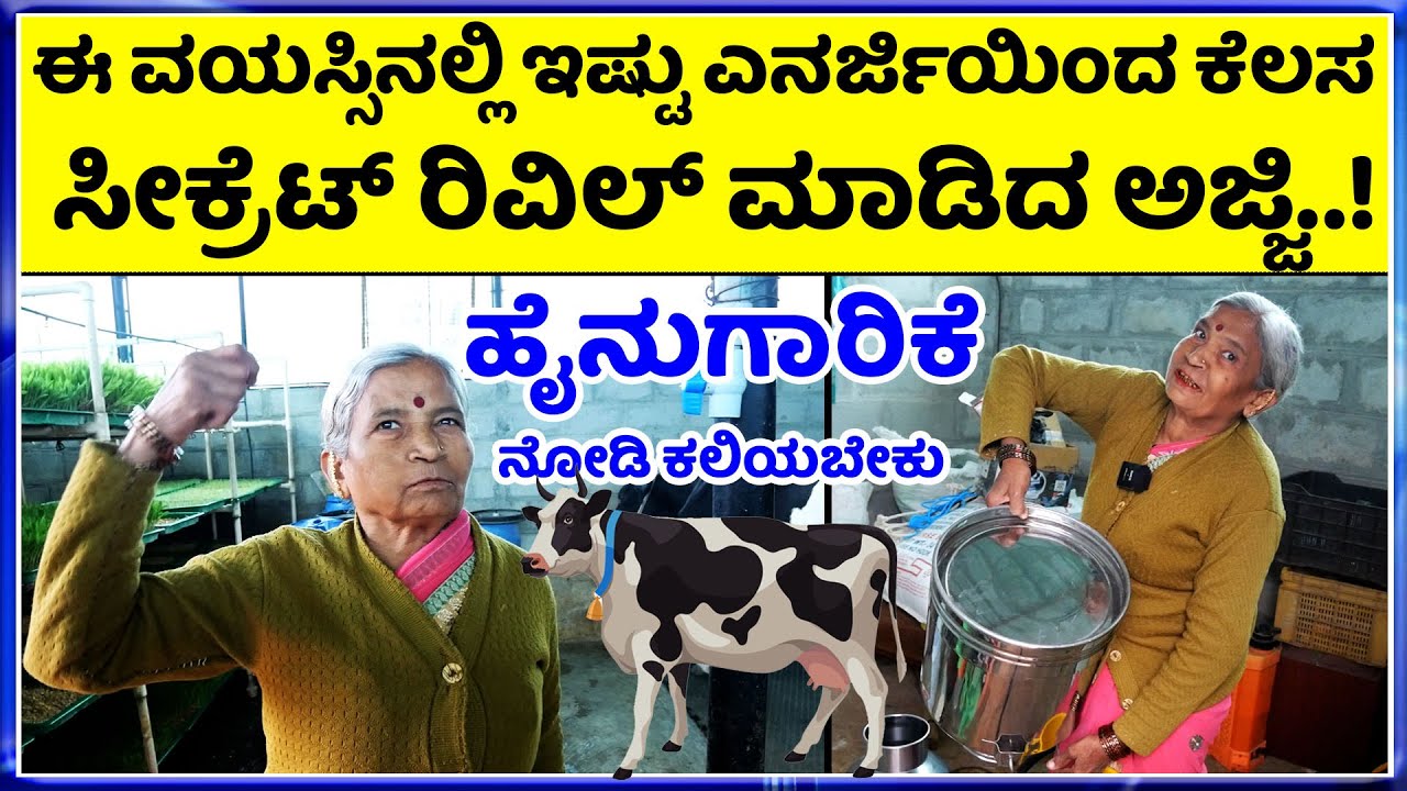 EP-02 ಪ್ರತಿಯೊಂದು ಅಚ್ಚುಕಟ್ಟು ಹೈನುಗಾರಿಕೆ  ಎಲ್ಲರೂ ನೋಡಲೇಬೇಕಾದ ವಿಡಿಯೋ  Successful dairy farm