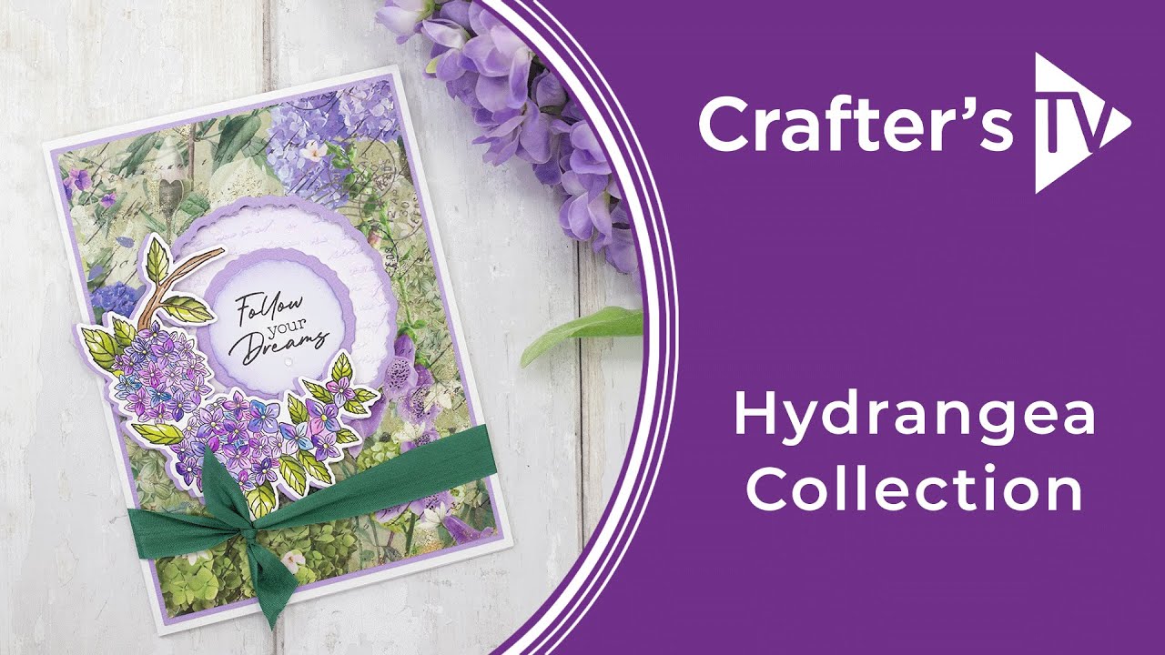 Nature's Garden Hydrangea Collection