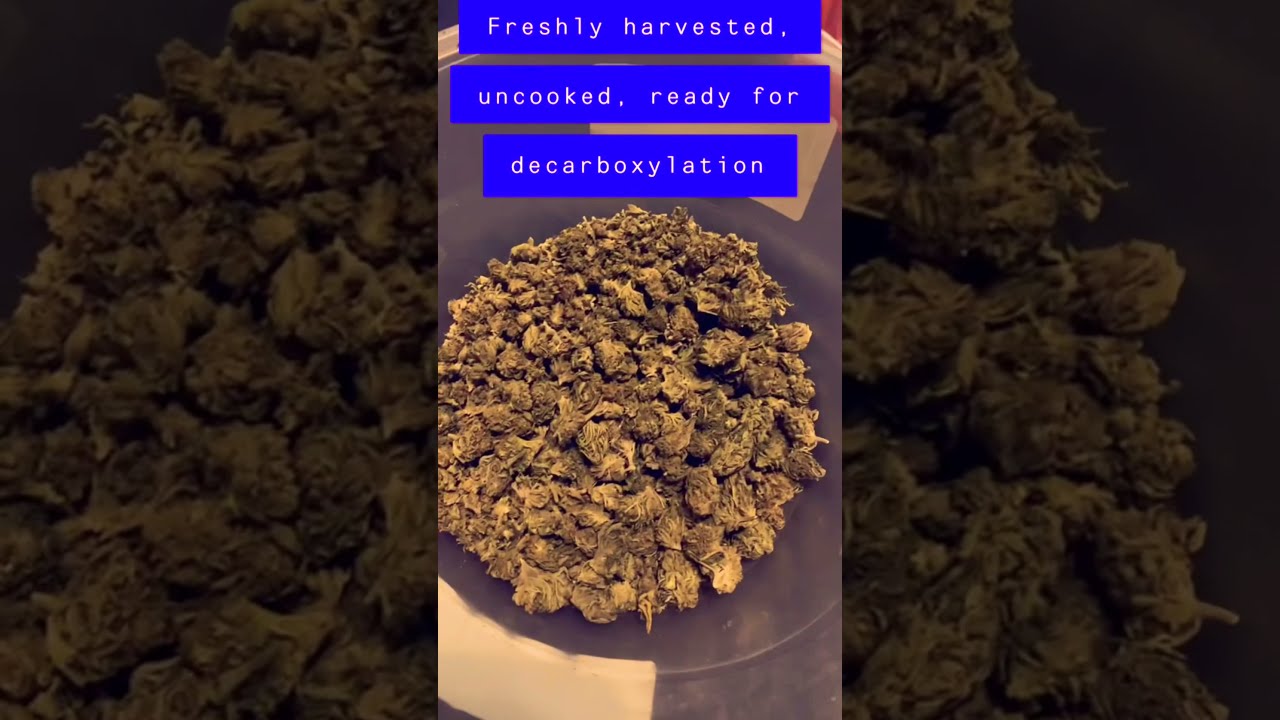 Easy preparation of CBD flower for oral consumption! (Special Sauce)