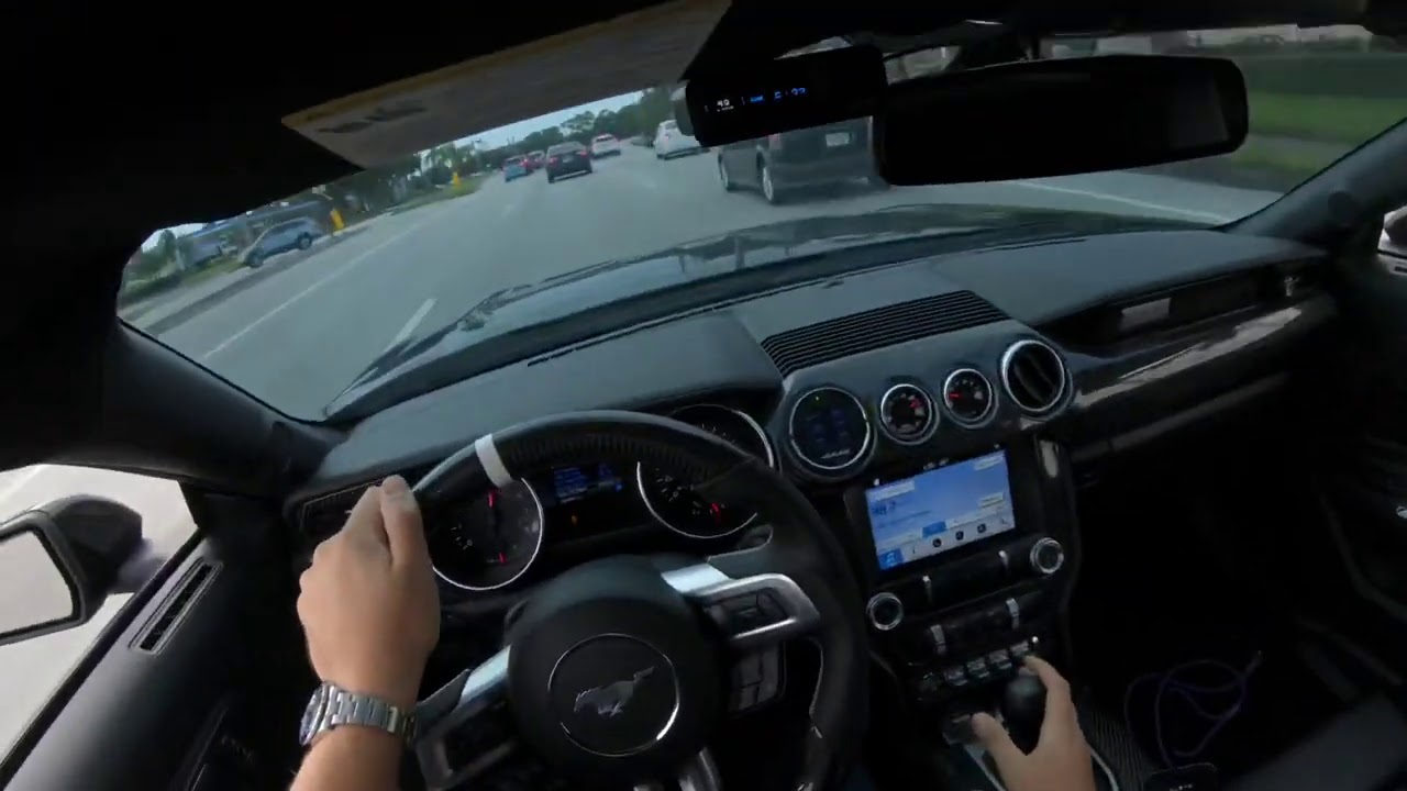 This dog just wants to go fast.