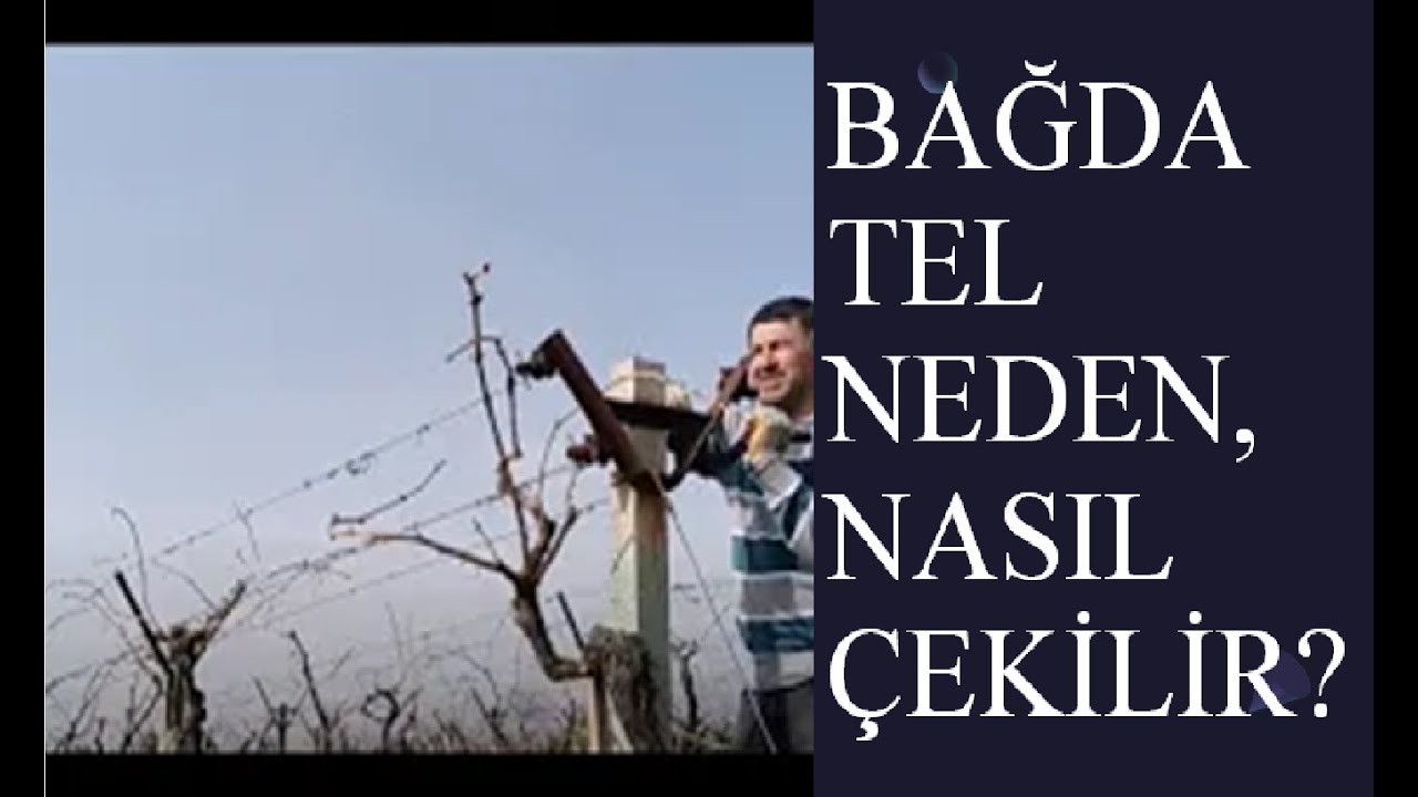 BAĞDA TEL ÇEKME İŞLEMİ NASIL YAPILIR?