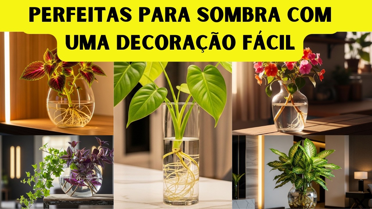 12 plantas de interior que estão crescendo muito bem na água, perfeitas para uma decoração fácil