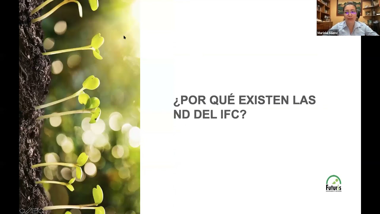 Webinar: Normas de desempeño IFC