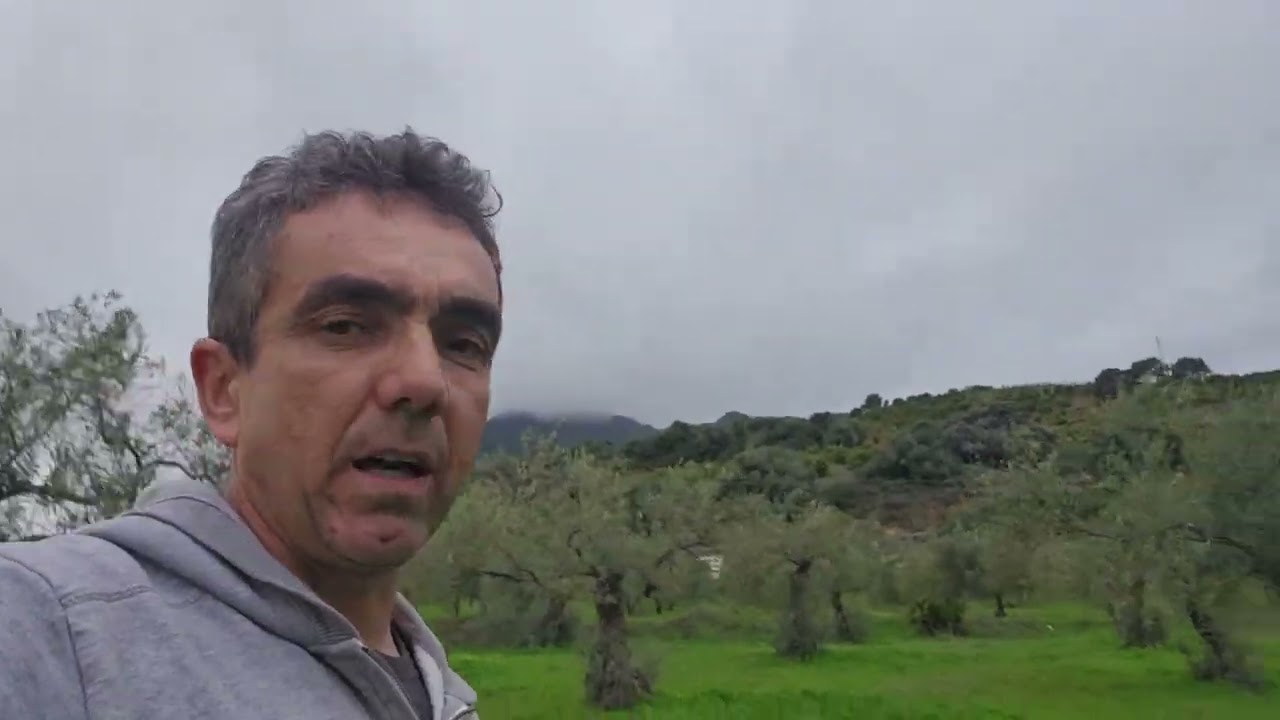 Perdonarme,  pero no estoy a favor del tratado MERCOSUR. 