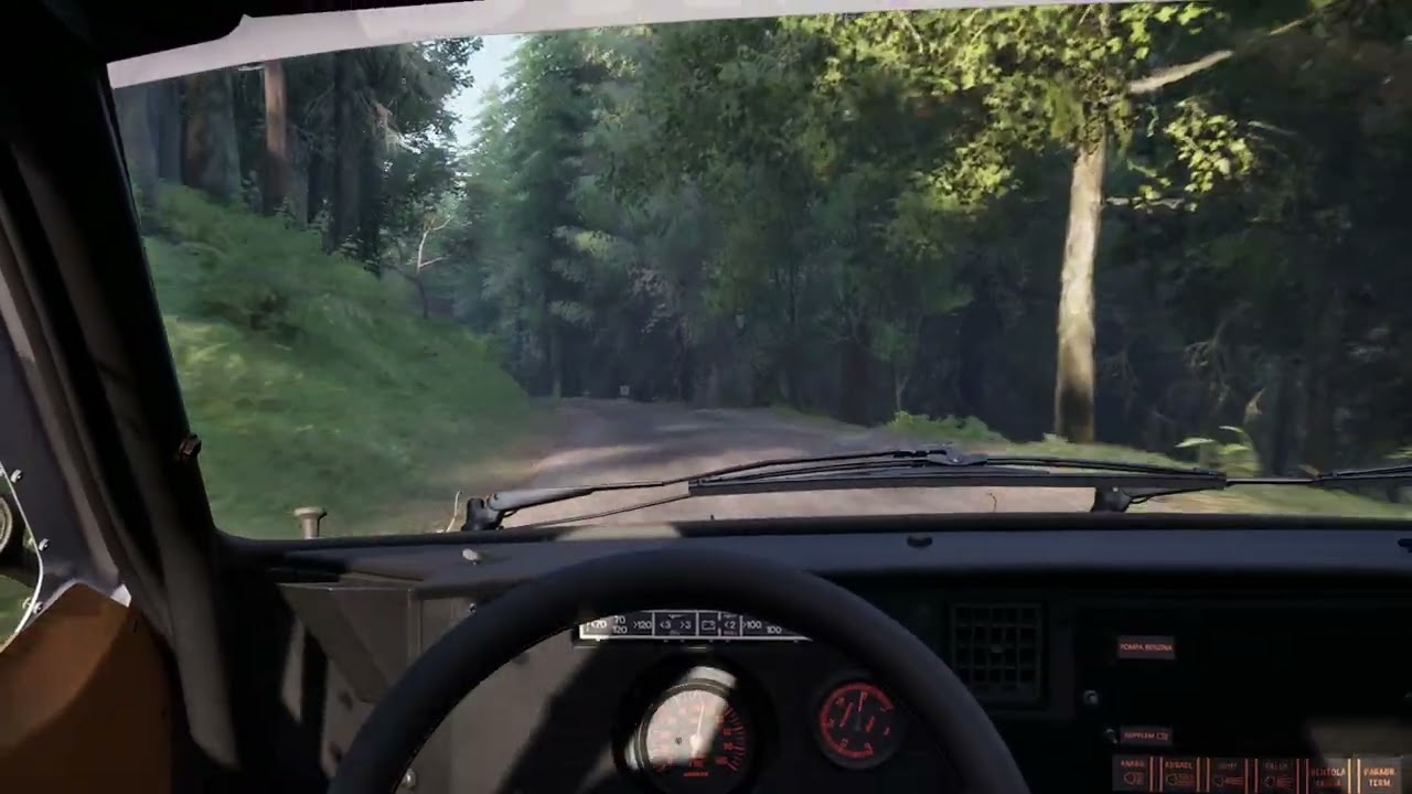 Assetto Corsa Rally | Lancia Rally 037 Evo | Foret de Munster | 3:24.728 | Top 7 | Moza R5 | GTX1660