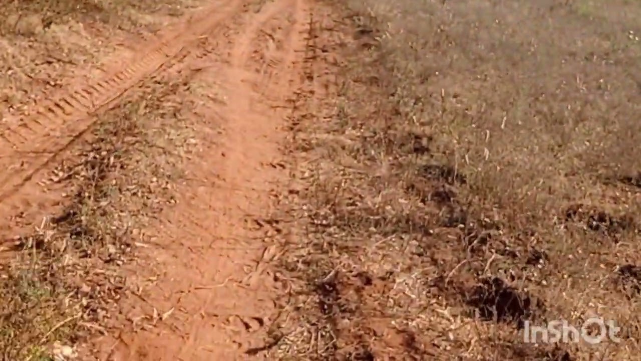 N p Properties  5 acre pure red soil  35 lakhs per acre  6360446978 tar road point general property