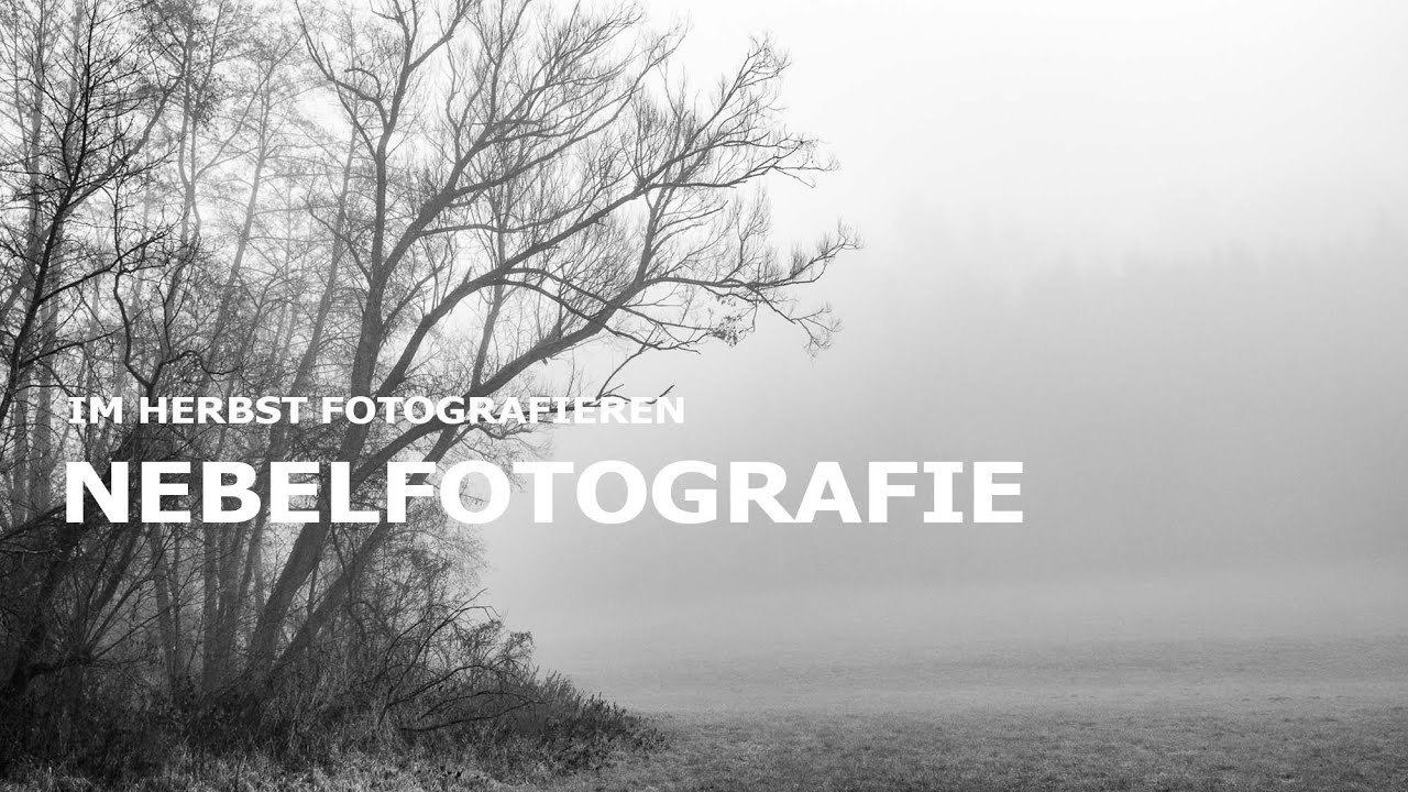 Fotografie im Herbst - Fotowalk im Nebel