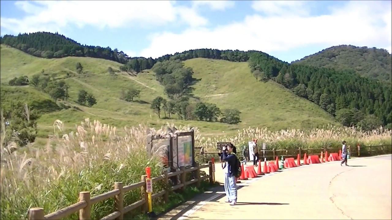砥峰高原のすすき
