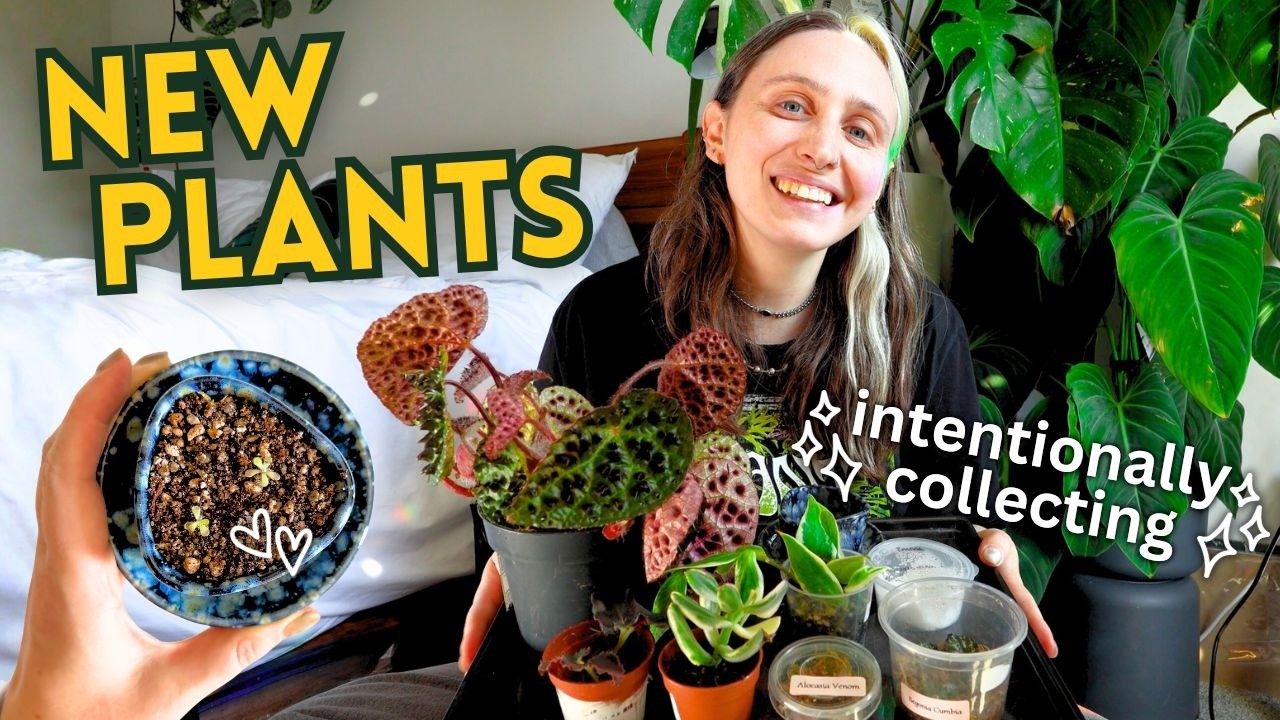 New Plants After the Purge 🌿 Intentional Collecting