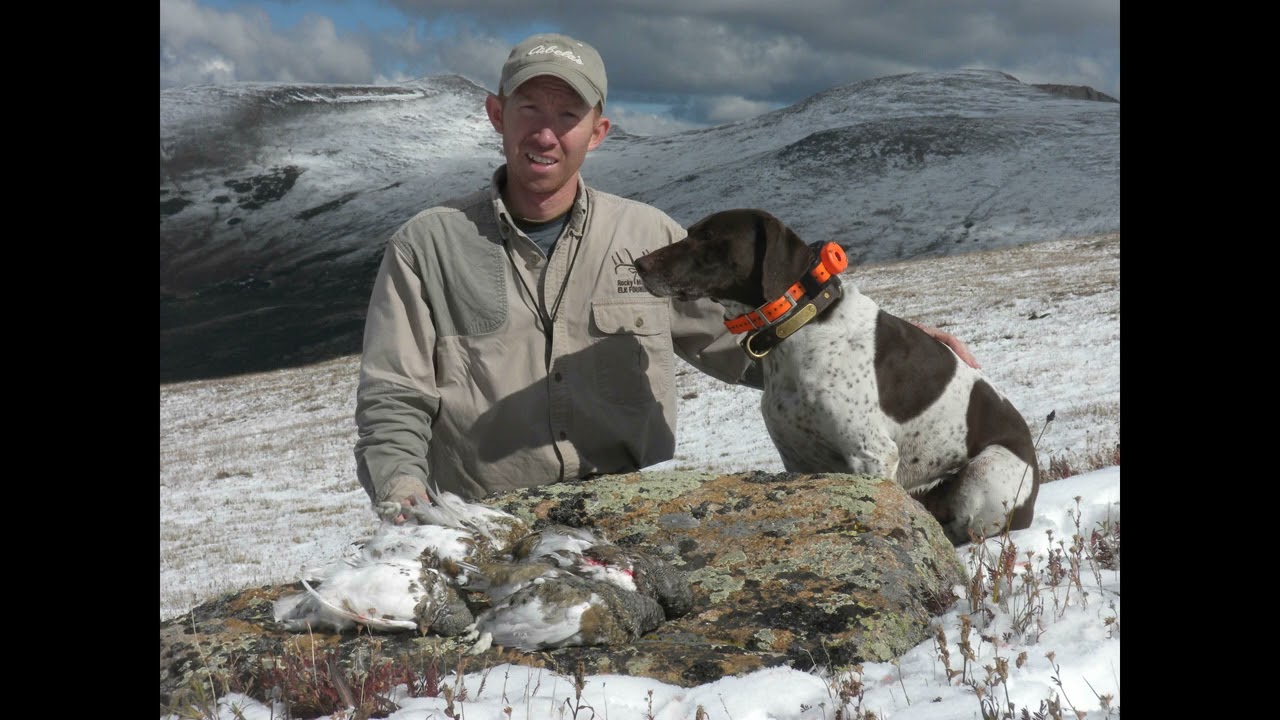 The Wandering Wingshooter Episode 9 - Dr. Dwayne Elmore