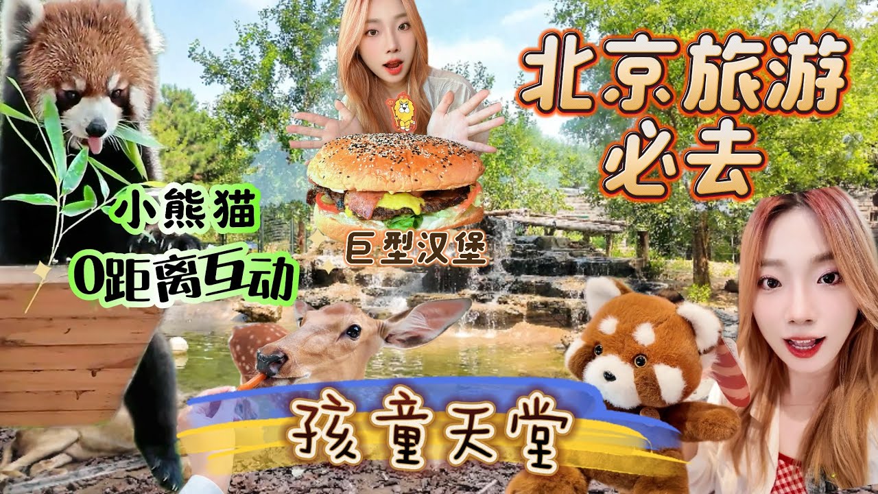[4K][SUB]北京旅游必去推荐，好吃又好玩，带娃首选，体验感超强，北京野生动物园全攻略。Beijing Wildlife Park，Beijing Zoo