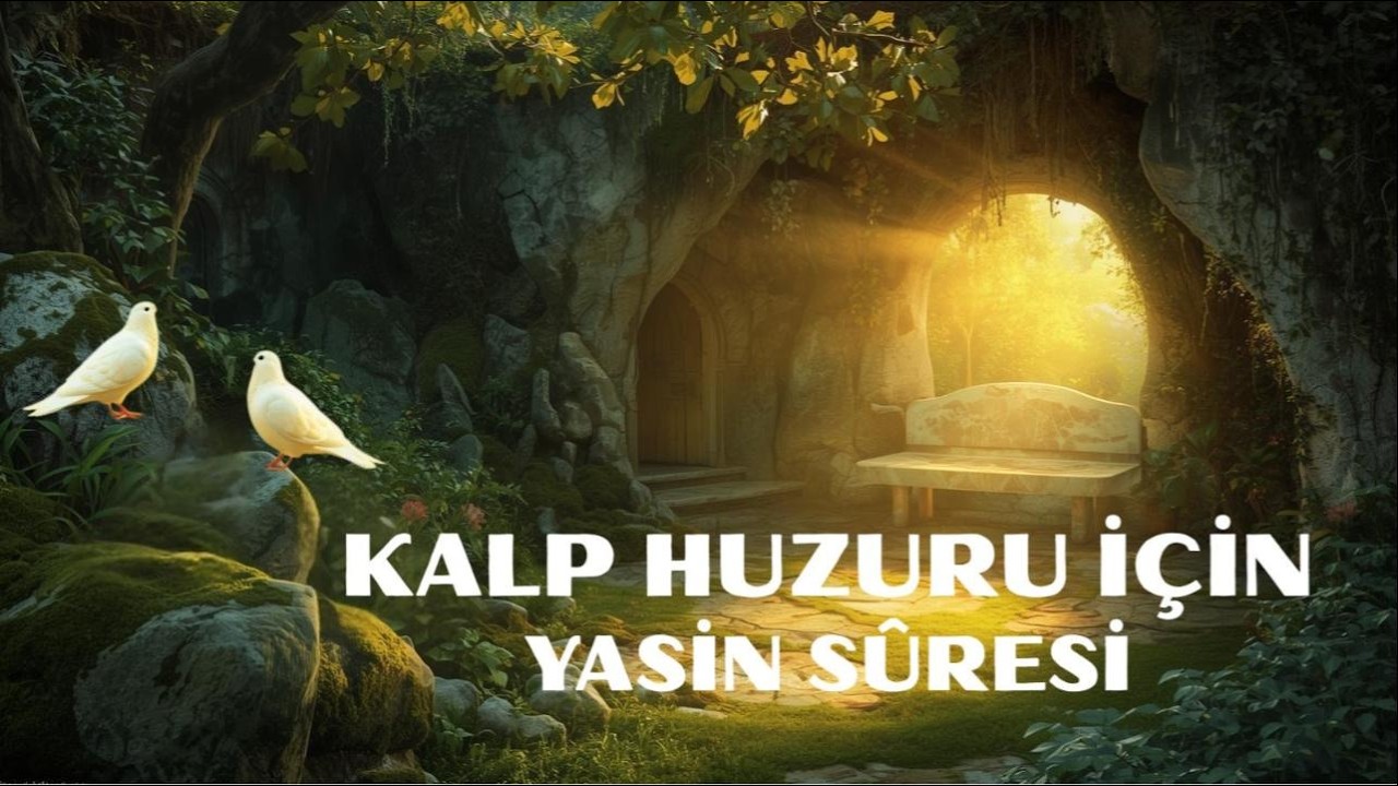 Kalp & Zihin Dinlenmesi: Kısık Sesli Yasin/| Heart & Mind Rest: Soft Yaseen #kuran #quran #terapi