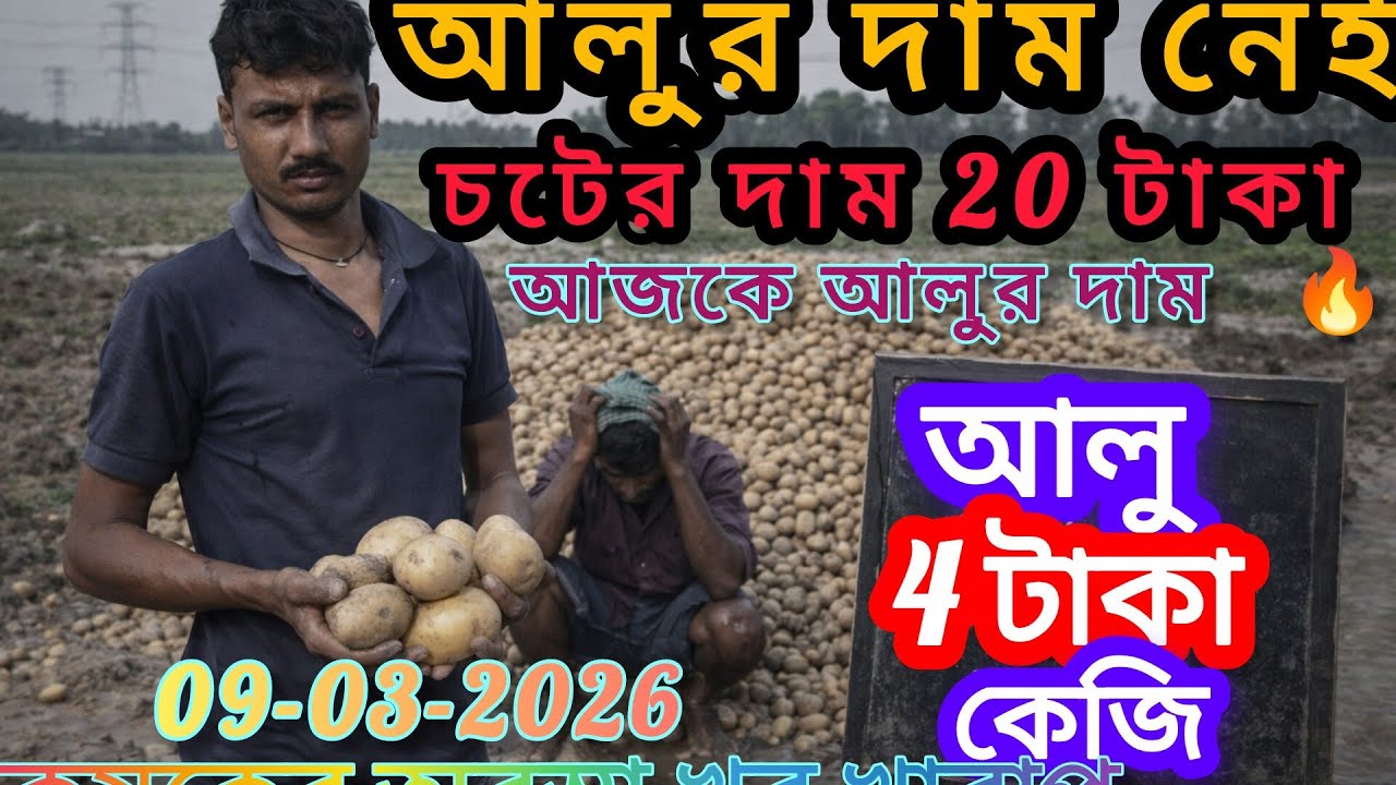 আলুর চটের দাম 🔥🔥🔥,, আজেকে আলুর দাম,,, আলুরবাম্পার ফলন,,,, আগামী দিনে আলুর দাম ঊর্ধ্বমুখী হবে কতটা,,