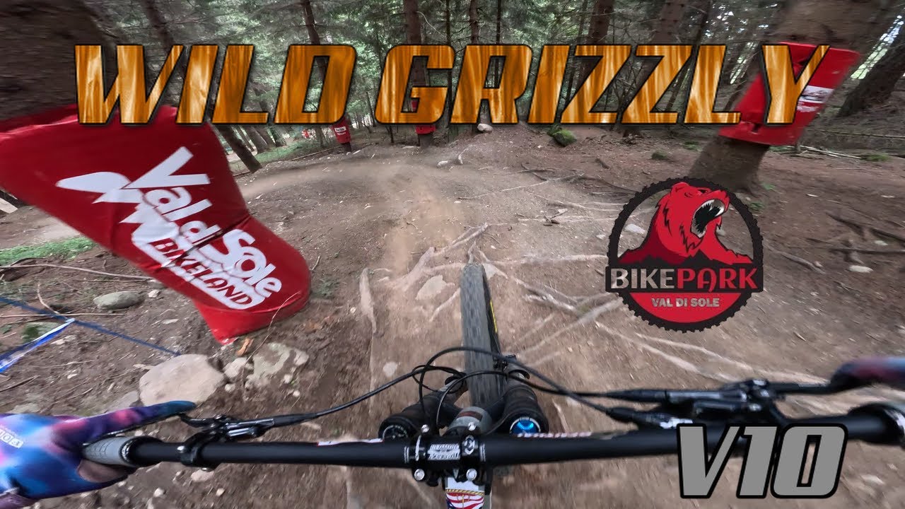 WILD GRIZZLY - Val di Sole 2024