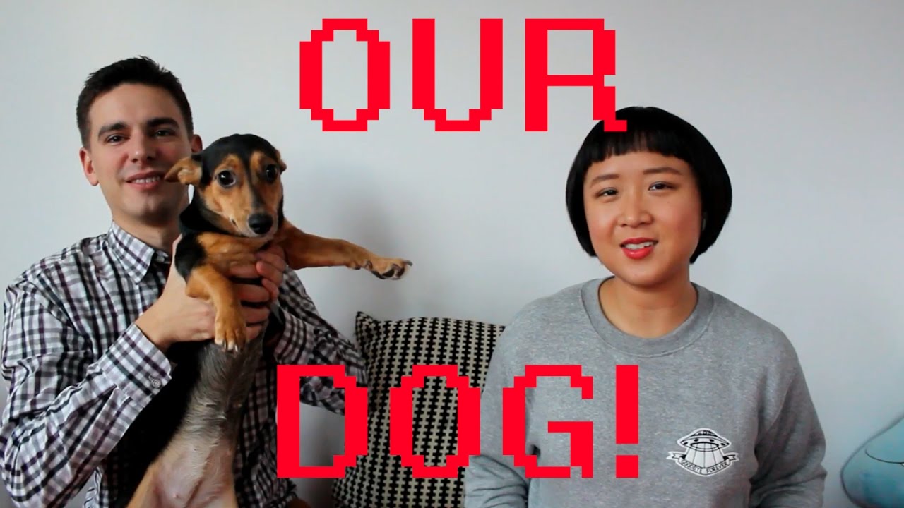MATSAN  & OUR NEW DOG!