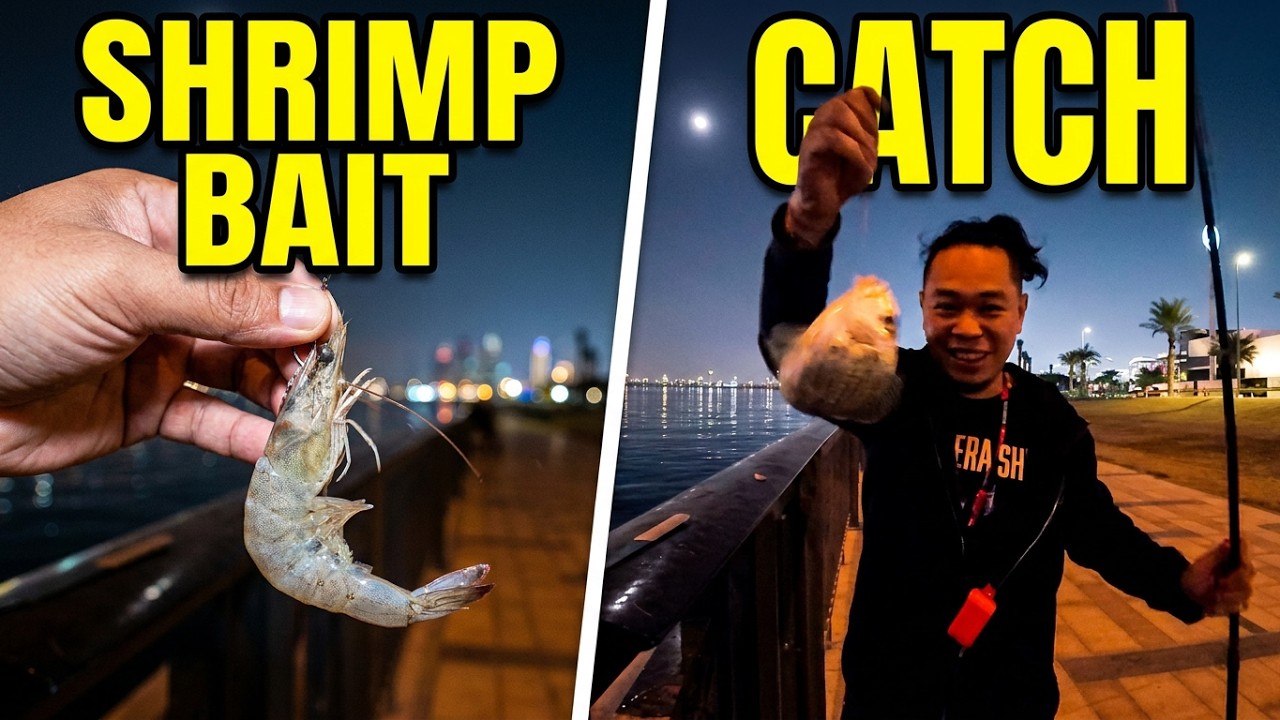 Fish Have No Have? 2025 Winter Fishing in Dubai Adventures