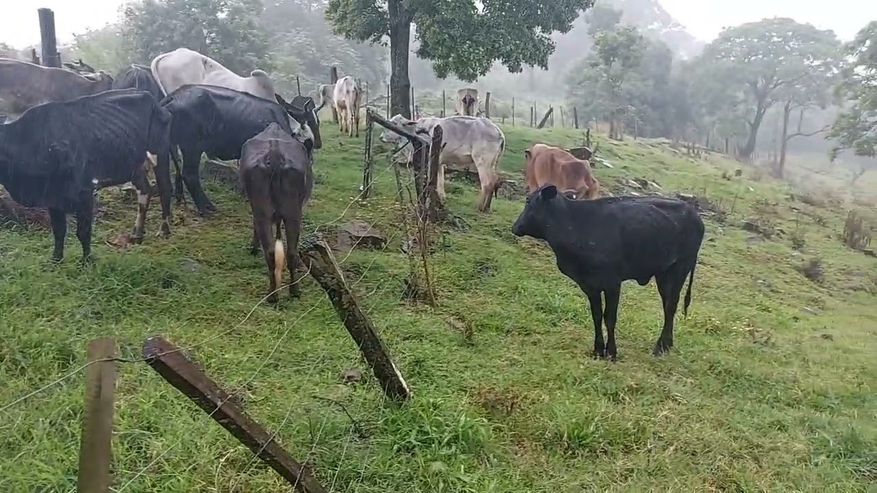 Mesmo com chuva o trabalho  não  para....