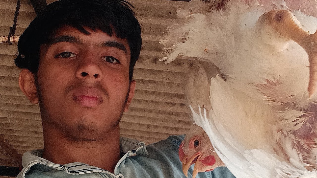 Aab karen ge party,🐔🐔