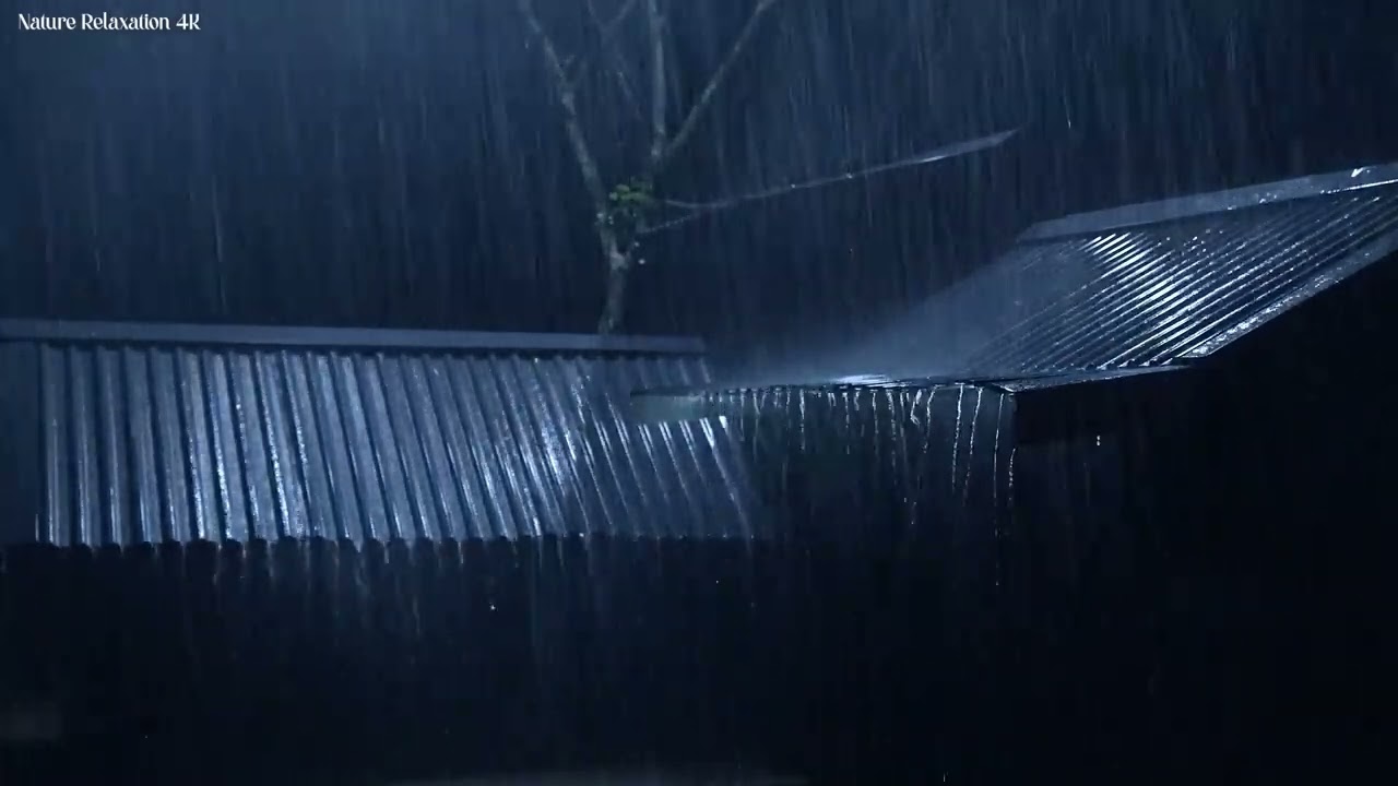 Siln&aacute; b&uacute;rka pre sp&aacute;nok ⚡ Prudk&yacute; d&aacute;žď a intenz&iacute;vne hrmenie počas b&uacute;rkovej noci | Pr&iacute;rodn&eacute; mel&oacute;die