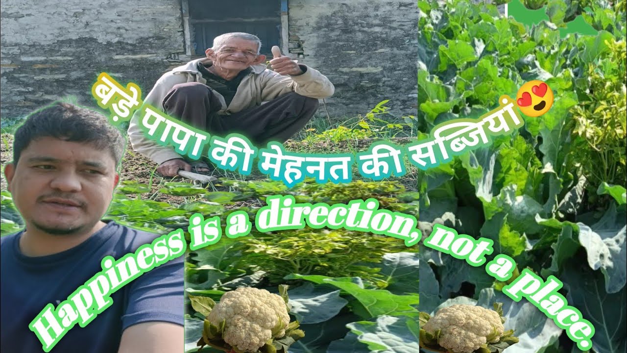  ताजगी से भरपूर पहाड़ की सब्जियां || Always Eat Fresh Vegetable😊|| Part-1 @Pahadi_vlogger_yogi 