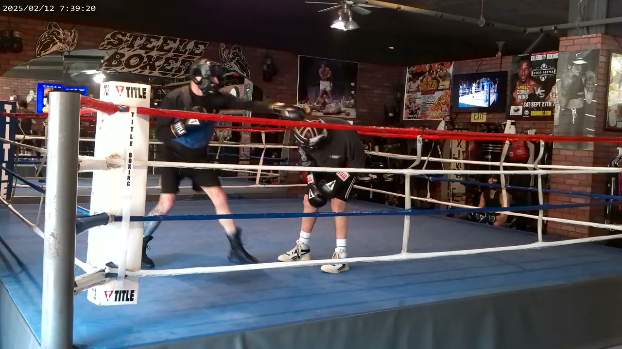 STEELEBOXER GYM ONLINE BOXING/KICKBOXING TRAINING PROGRAM www.steeleboxer.com