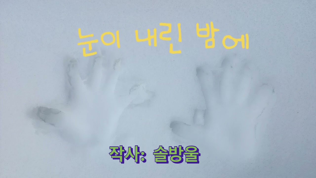 눈이 내린 밤에