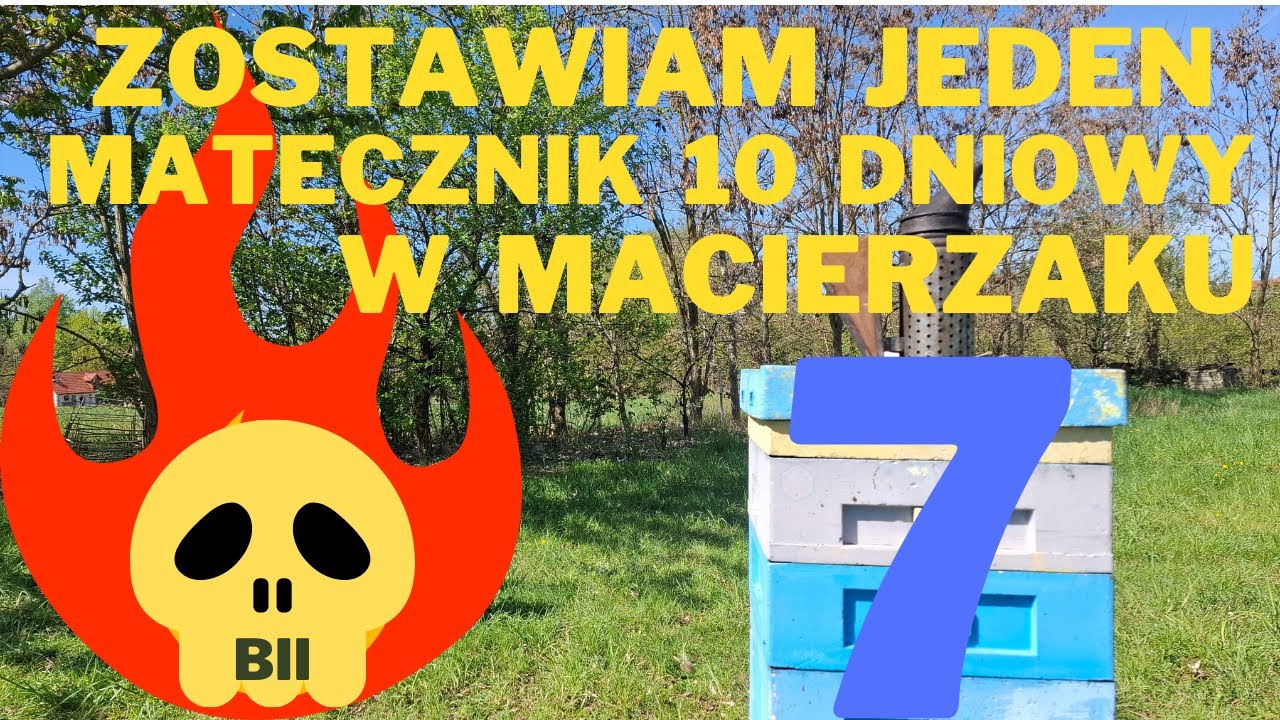Metoda przeciwko rojeniu się pszczół  cz7