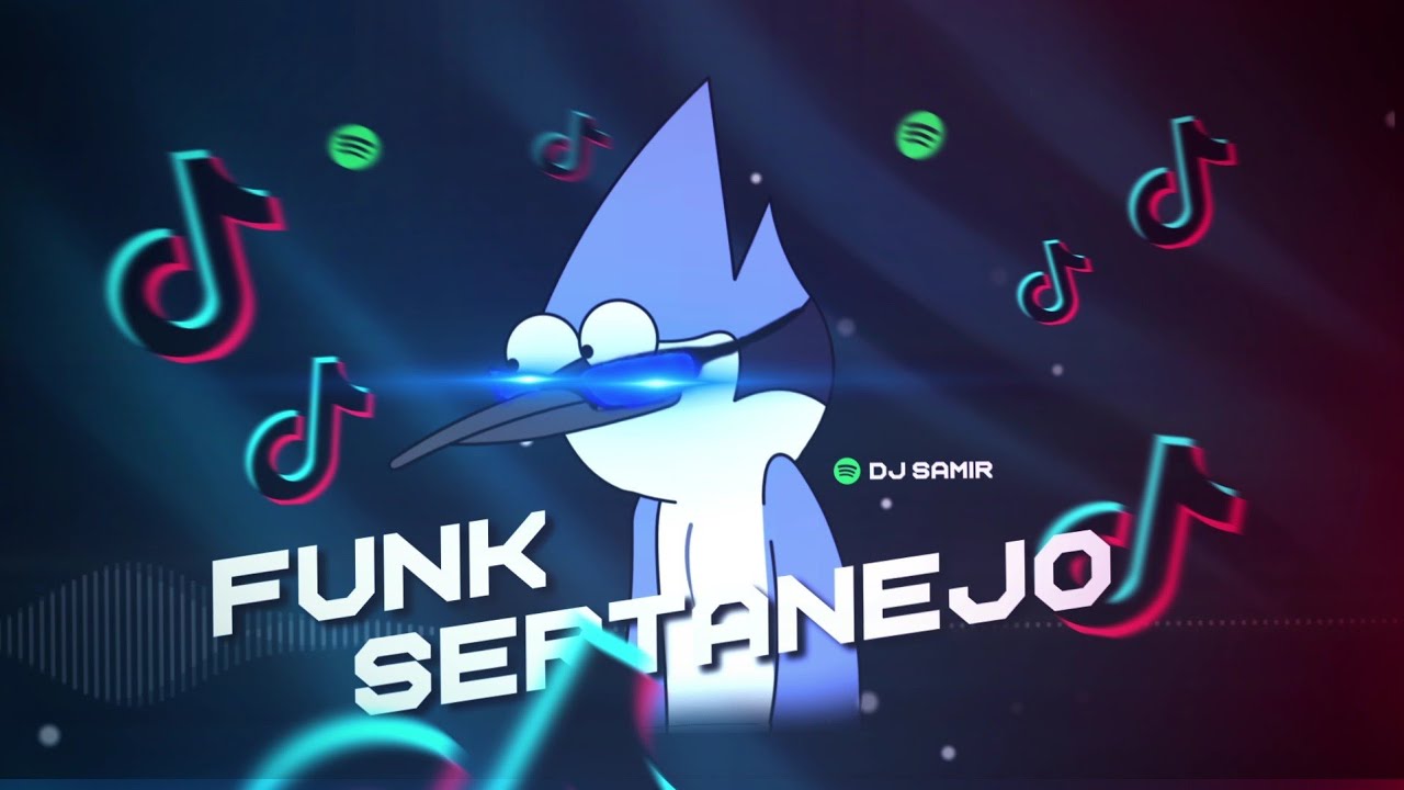 1 HORA DOS MELHORES FUNK SERTANEJO AS MAIS TOCADAS DO TIKTOK | By DJ Samir