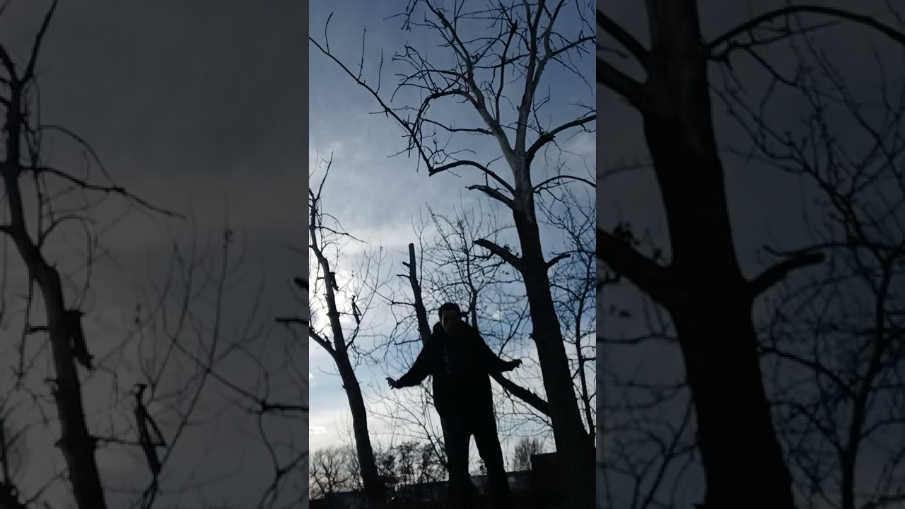 Basic Taijutsu Techniques-Also, Taking out the Sentry #martialarts #martial #sensei #ninjutsu