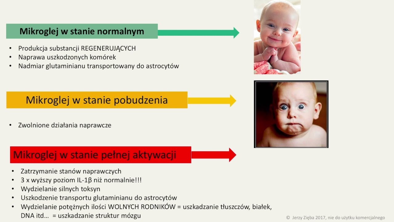 Szczepionki   Jerzy Zięba