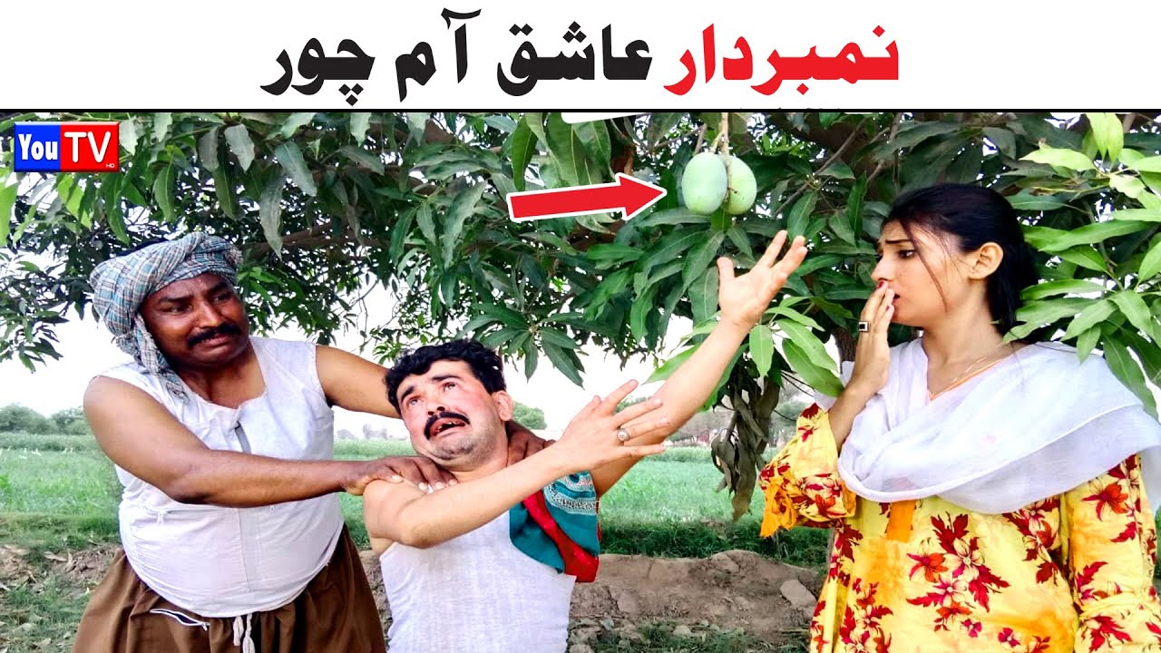 Number Daar Ashiq Aam Chor Noori | Top Funny Video | New Funny Punjabi Comedy Video 2024 | You Tv HD