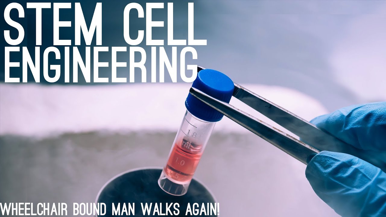 Wheelchair-bound Man Walks Again After Stem Cell Injections!