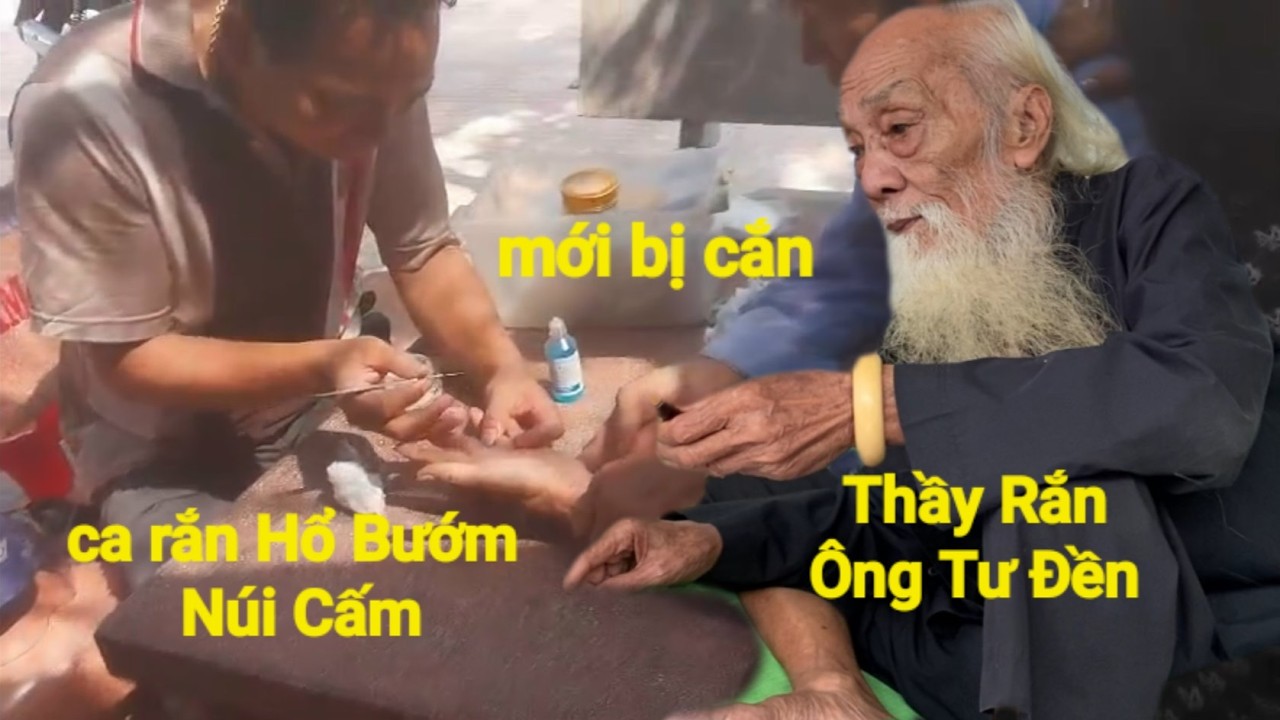 Мастер по змеям (господин Ту Ден) оказал помощь змее, которую только что укусила королевская кобр...