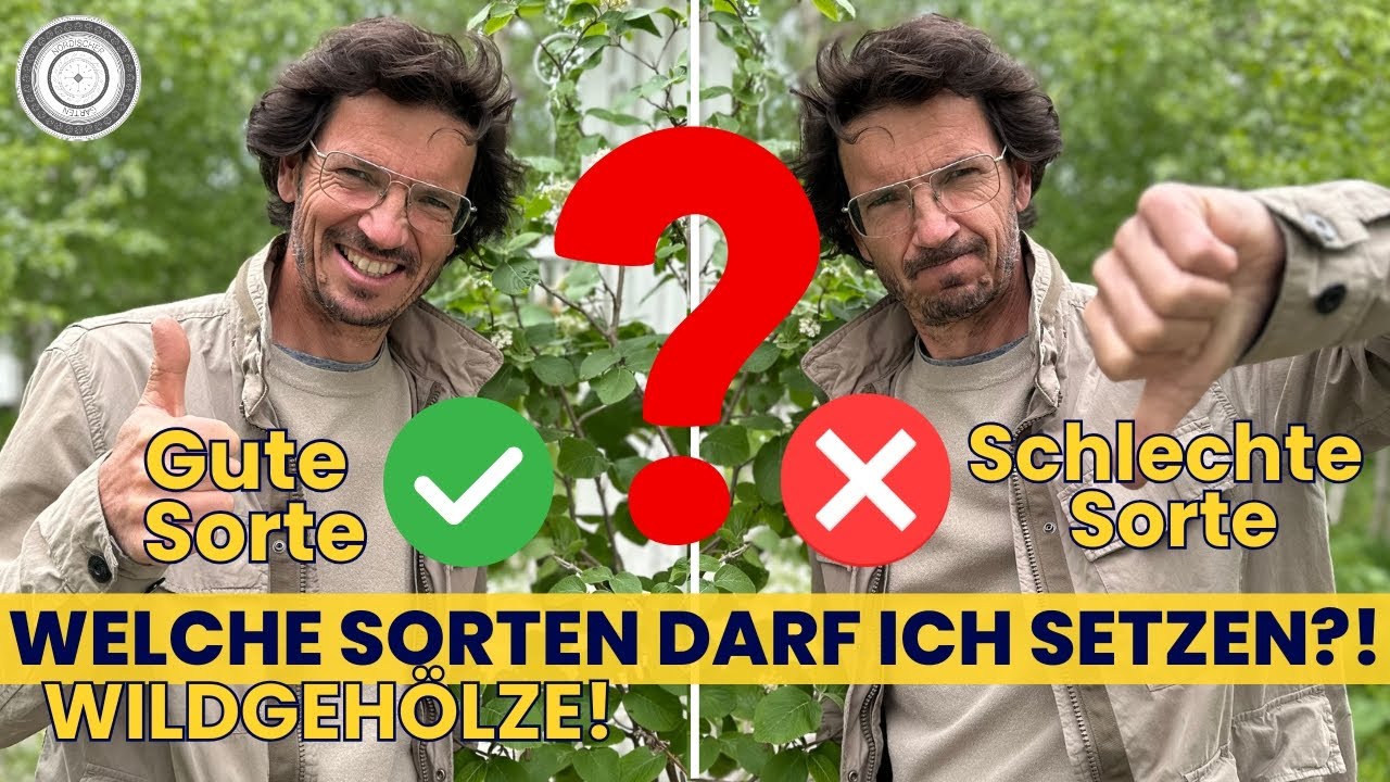 Setze NICHT diese Gehölze! Sorten Heimischer Wildgehölze 10 Beispiele!